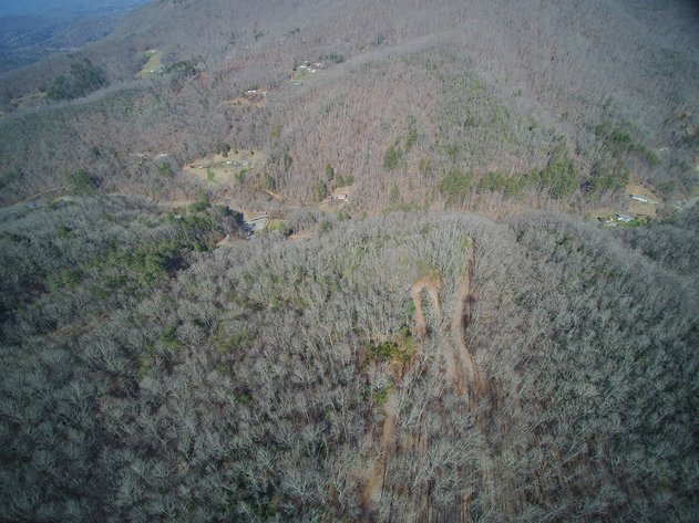 Image for ONLINE AUCTION - Thursday, August 12th - Cullowhee, NC