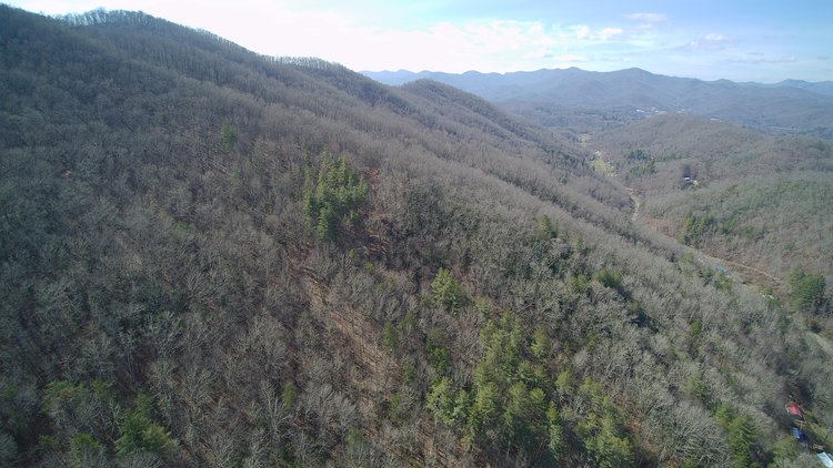 Image for ONLINE AUCTION - Thursday, August 12th - Cullowhee, NC