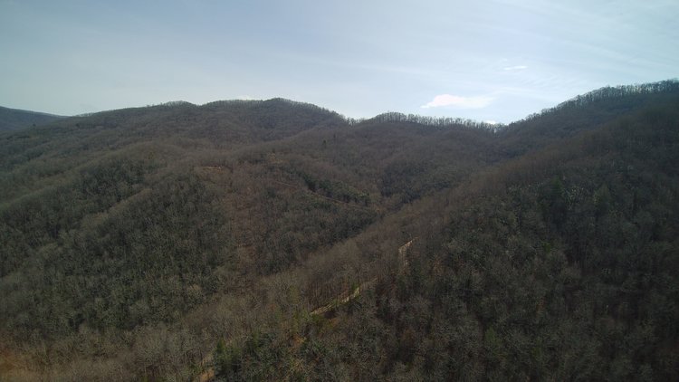 Image for ONLINE AUCTION - Thursday, August 12th - Cullowhee, NC