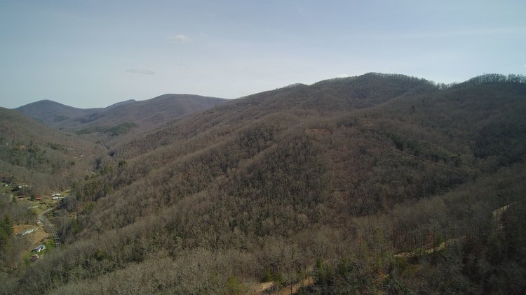 Image for ONLINE AUCTION - Thursday, August 12th - Cullowhee, NC