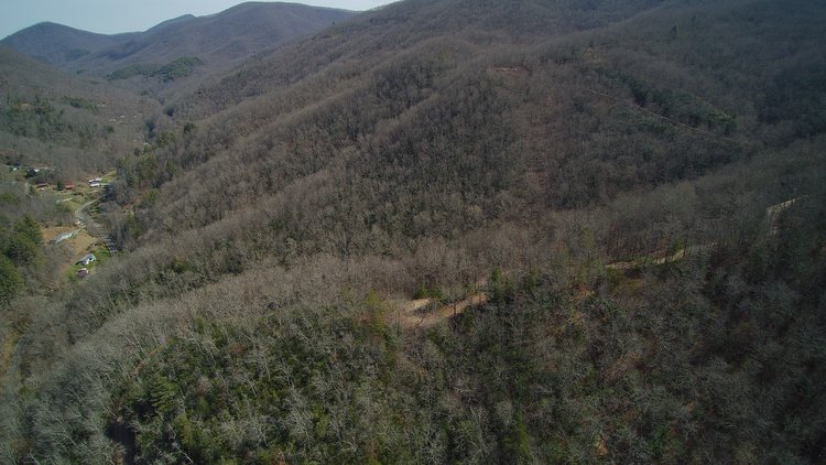 Image for ONLINE AUCTION - Thursday, August 12th - Cullowhee, NC