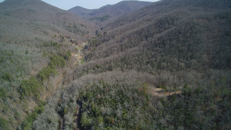 Image for ONLINE AUCTION - Thursday, August 12th - Cullowhee, NC