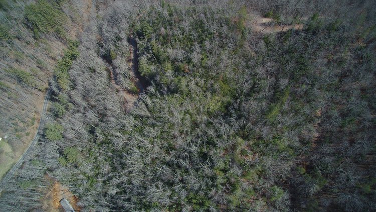 Image for ONLINE AUCTION - Thursday, August 12th - Cullowhee, NC