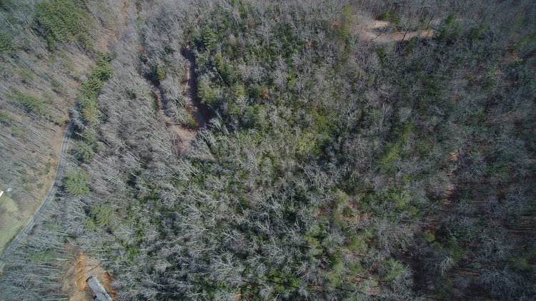 Image for ONLINE AUCTION - Thursday, August 12th - Cullowhee, NC