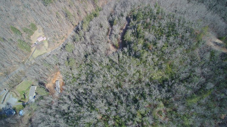 Image for ONLINE AUCTION - Thursday, August 12th - Cullowhee, NC