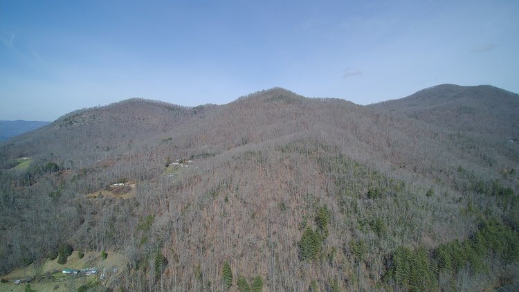 Image for ONLINE AUCTION - Thursday, August 12th - Cullowhee, NC