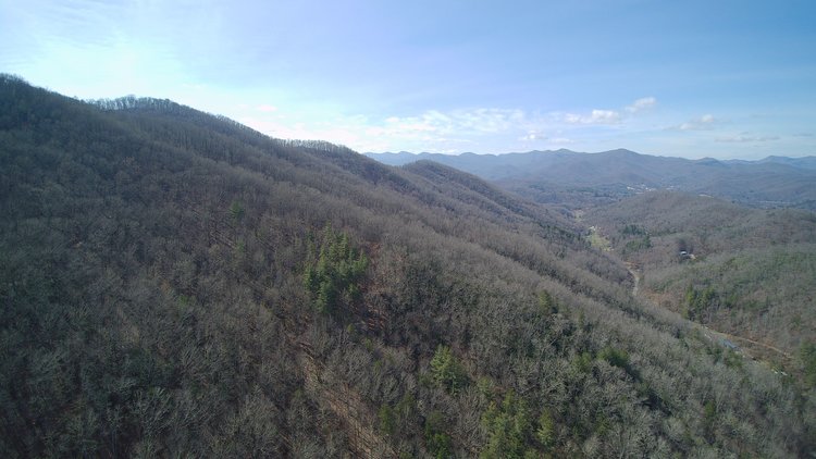 Image for ONLINE AUCTION - Thursday, August 12th - Cullowhee, NC