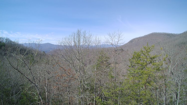 Image for ONLINE AUCTION - Thursday, August 12th - Cullowhee, NC