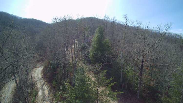 Image for ONLINE AUCTION - Thursday, August 12th - Cullowhee, NC