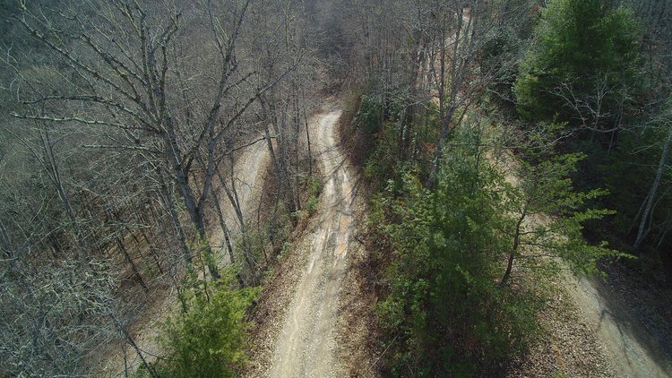 Image for ONLINE AUCTION - Thursday, August 12th - Cullowhee, NC