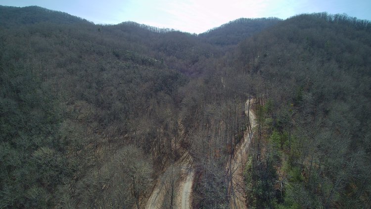 Image for ONLINE AUCTION - Thursday, August 12th - Cullowhee, NC