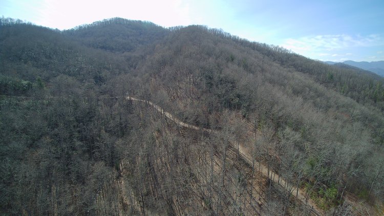 Image for ONLINE AUCTION - Thursday, August 12th - Cullowhee, NC