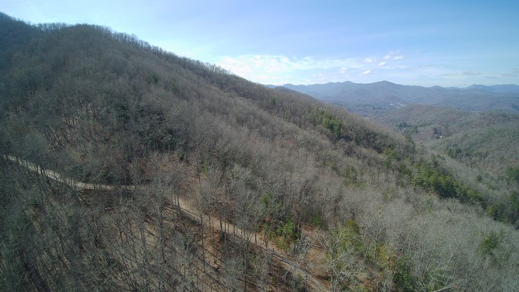 Image for ONLINE AUCTION - Thursday, August 12th - Cullowhee, NC