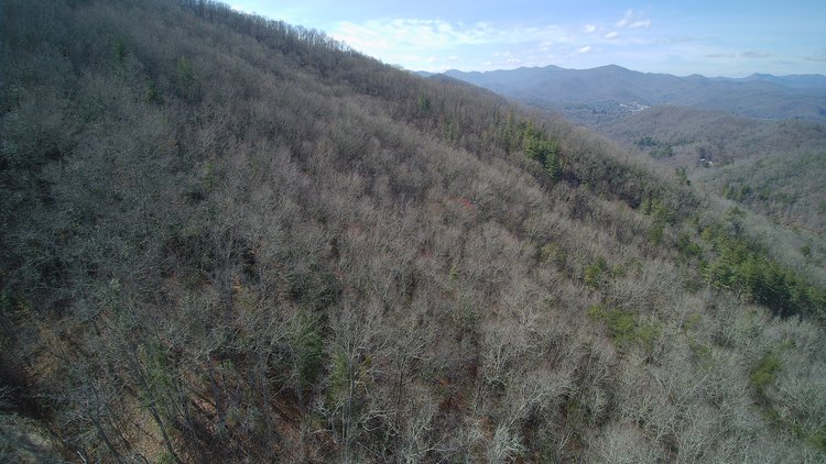 Image for ONLINE AUCTION - Thursday, August 12th - Cullowhee, NC