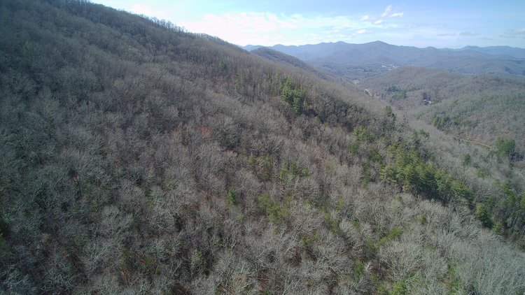 Image for ONLINE AUCTION - Thursday, August 12th - Cullowhee, NC