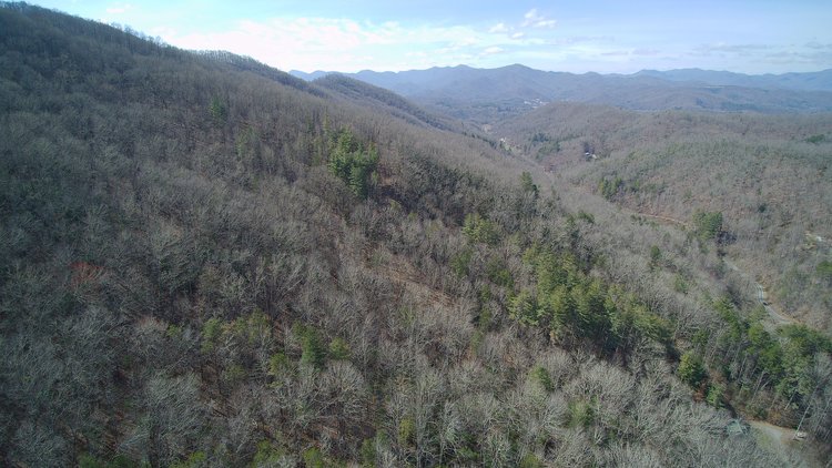 Image for ONLINE AUCTION - Thursday, August 12th - Cullowhee, NC