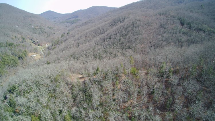 Image for ONLINE AUCTION - Thursday, August 12th - Cullowhee, NC