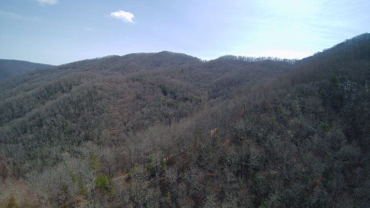 Image for ONLINE AUCTION - Thursday, August 12th - Cullowhee, NC