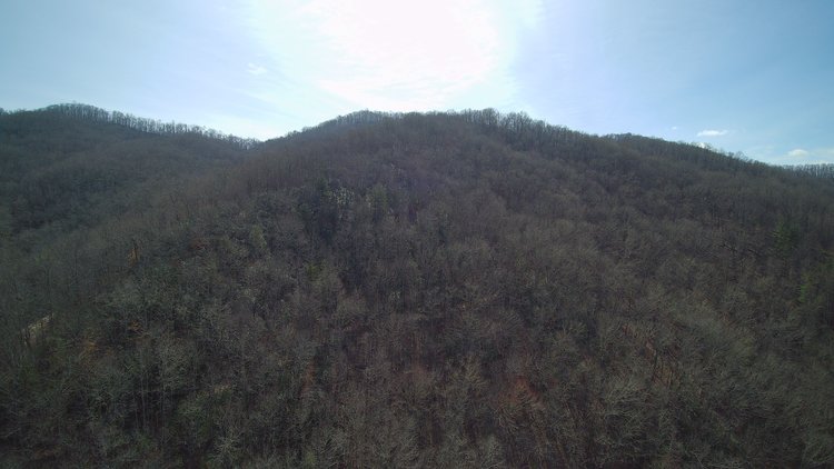 Image for ONLINE AUCTION - Thursday, August 12th - Cullowhee, NC