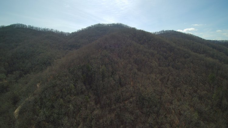 Image for ONLINE AUCTION - Thursday, August 12th - Cullowhee, NC