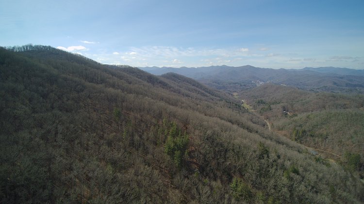 Image for ONLINE AUCTION - Thursday, August 12th - Cullowhee, NC