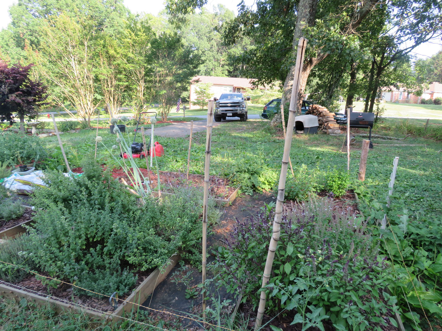 Image for 13  Winston Ln,  Altavista, VA  24517