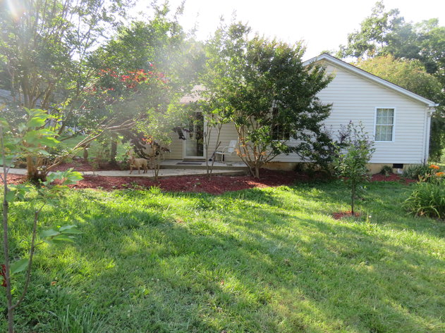 Image for 13  Winston Ln,  Altavista, VA  24517