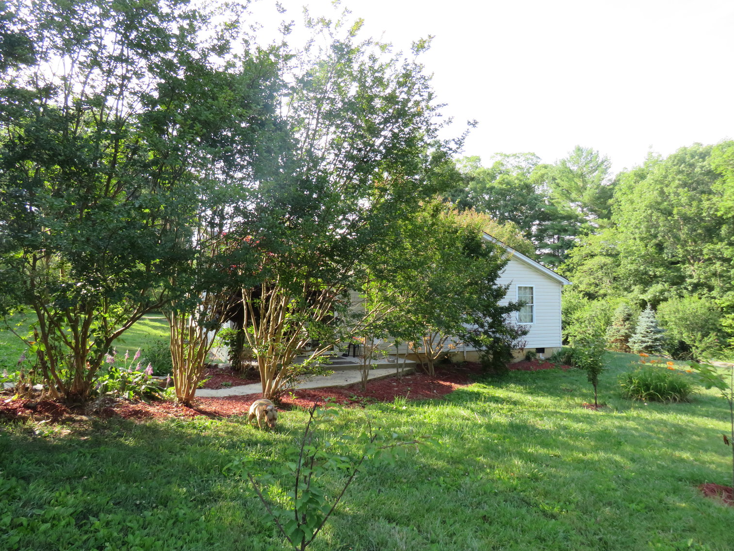 Image for 13  Winston Ln,  Altavista, VA  24517