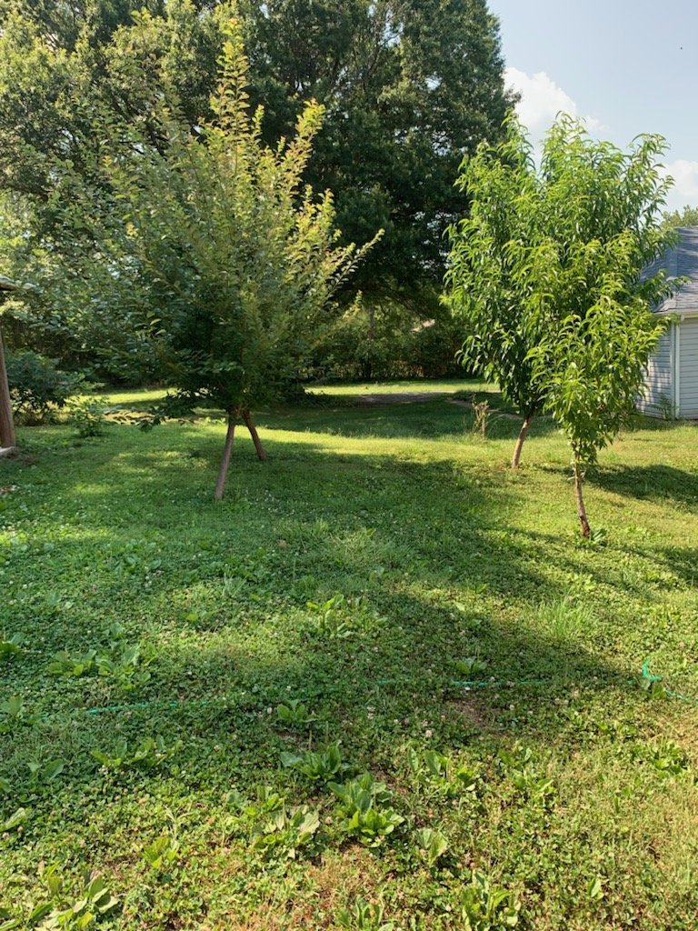 Image for 13 Winston Ln, Altavista, VA 24517