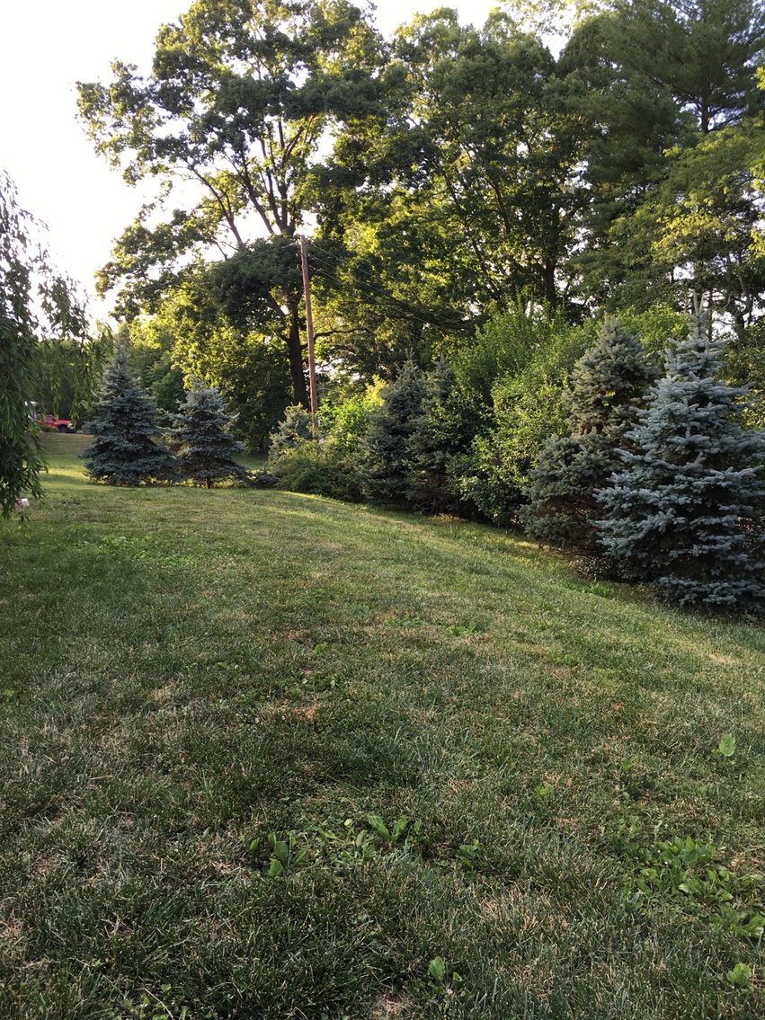 Image for 13 Winston Ln, Altavista, VA 24517