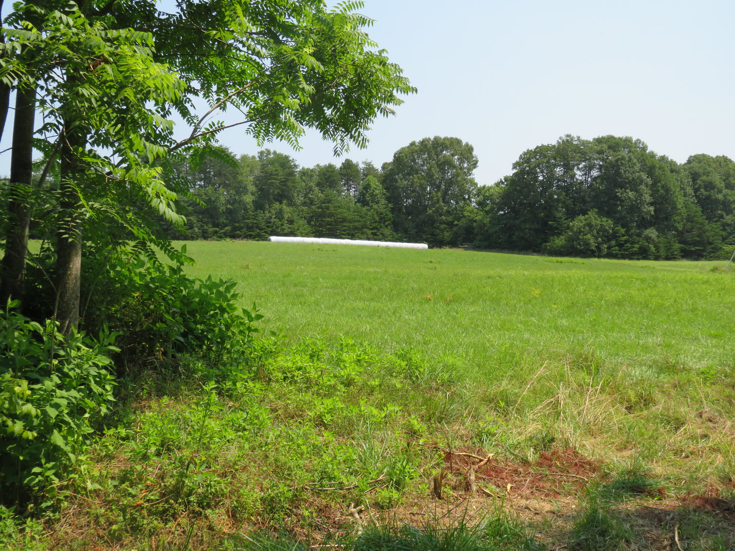 Image for 7708  Rockford School Rd,  Gretna, VA  24557