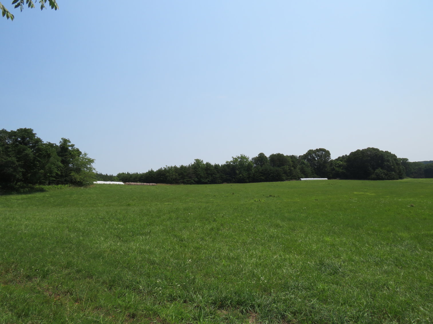 Image for 7708  Rockford School Rd,  Gretna, VA  24557