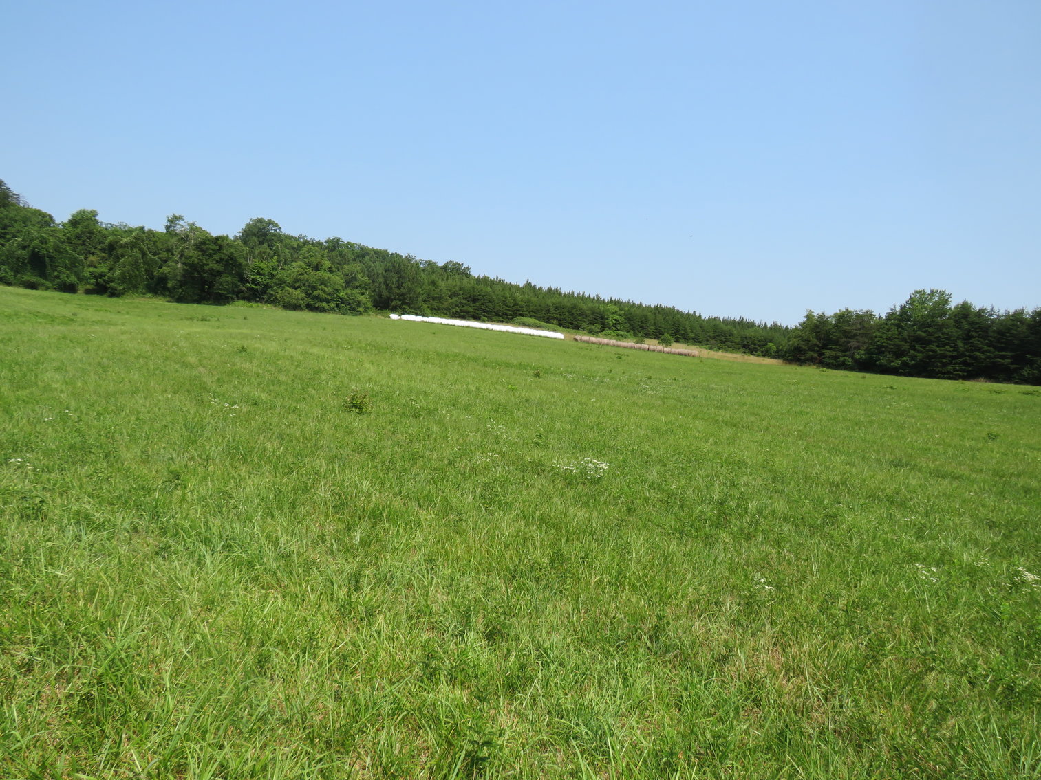 Image for 7708  Rockford School Rd,  Gretna, VA  24557