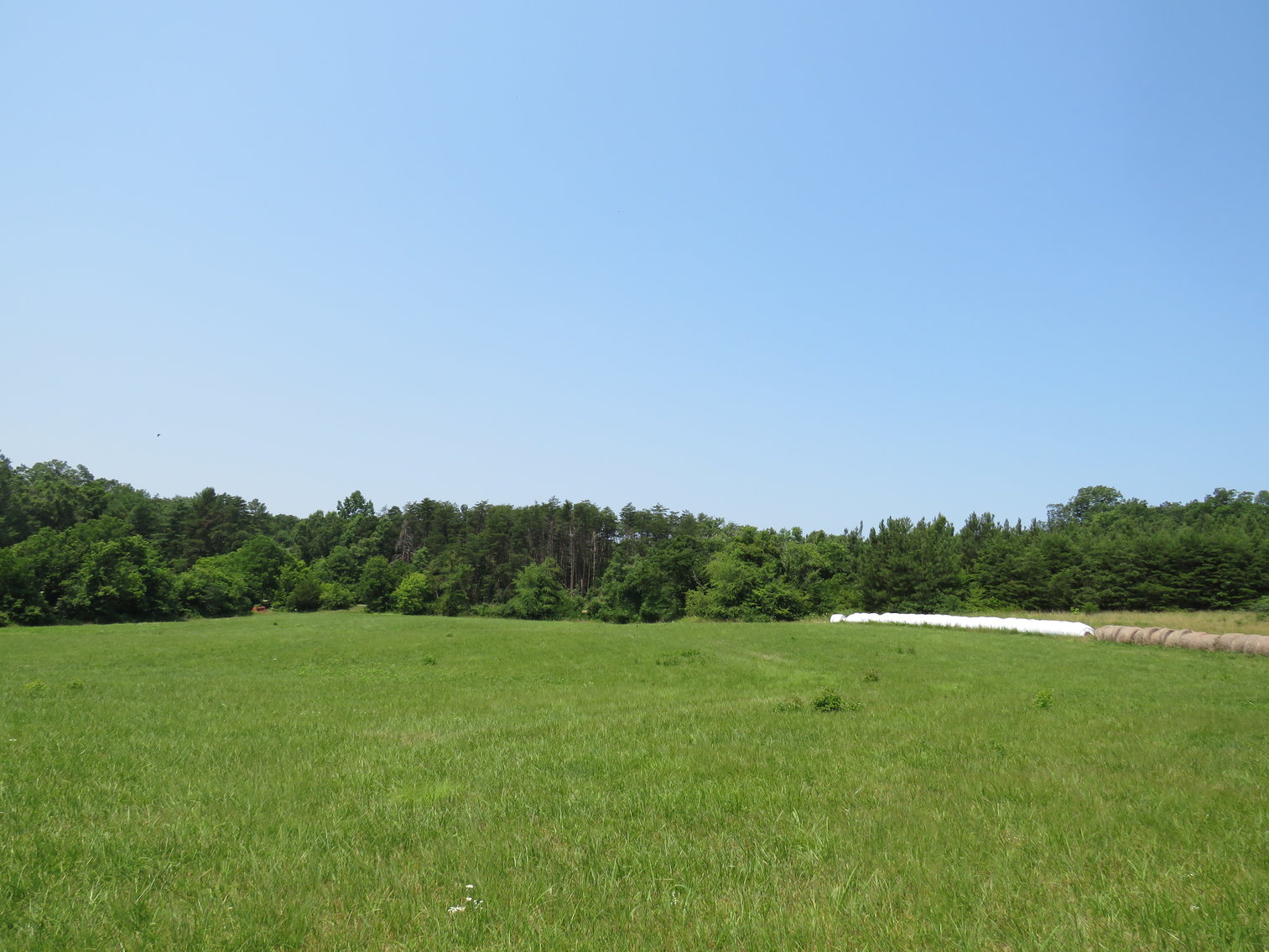 Image for 7708  Rockford School Rd,  Gretna, VA  24557