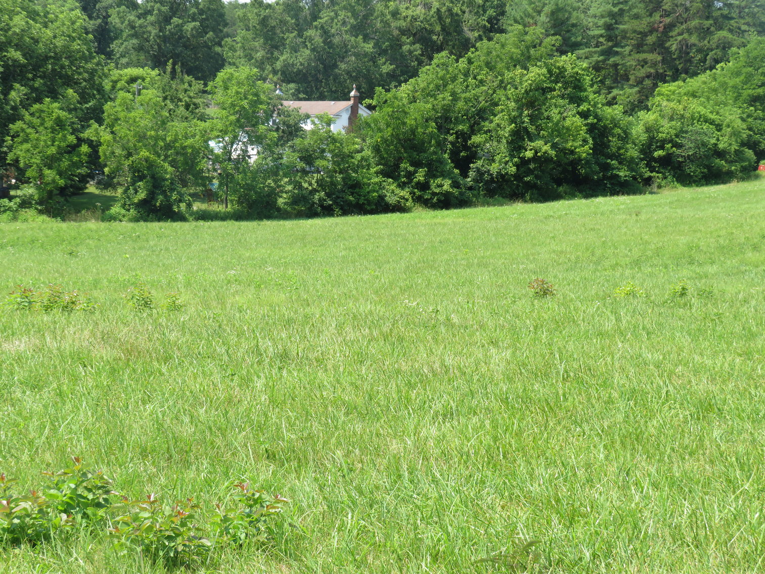 Image for 7708  Rockford School Rd,  Gretna, VA  24557