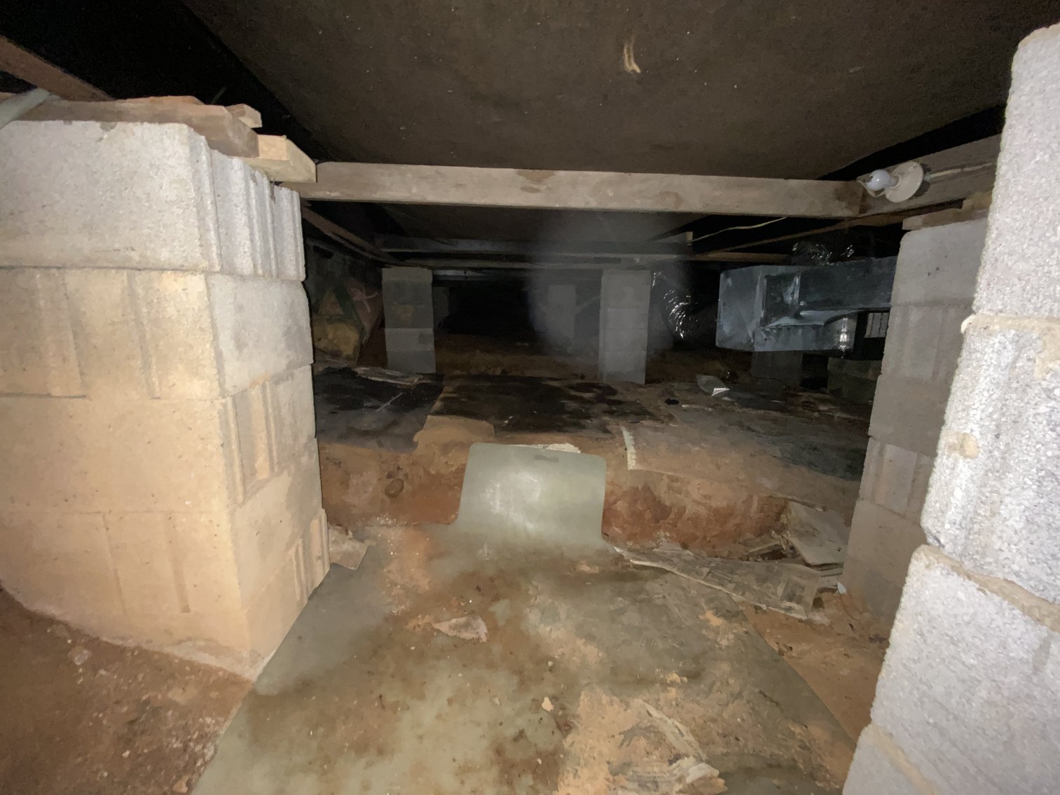 Image for 4 BR/4 BA Home on 29.1 +/- Acres in Orange County, VA--SELLS to the HIGHEST BIDDER!!