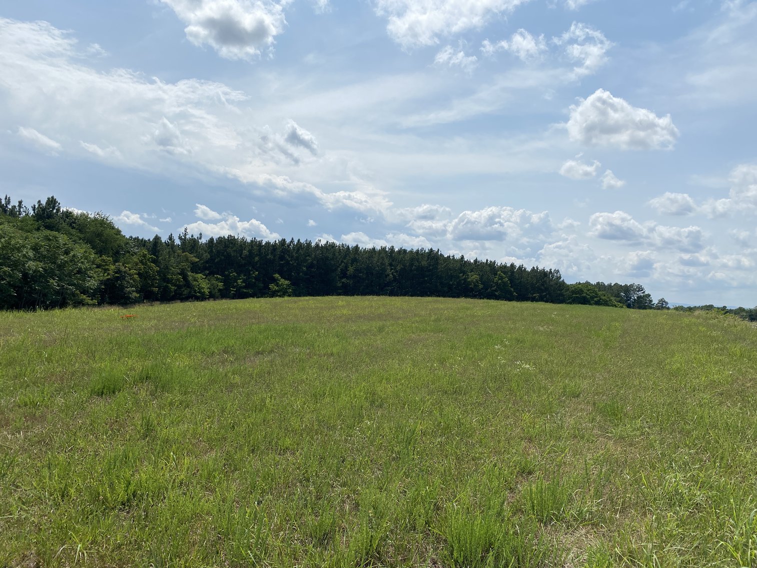 Image for 5 Individual Land Parcels Totaling 77.9 +/- Acres in Franklin County, VA, Only 10 Miles from Smith Mountain Lake--ONLINE ONLY BIDDING!!