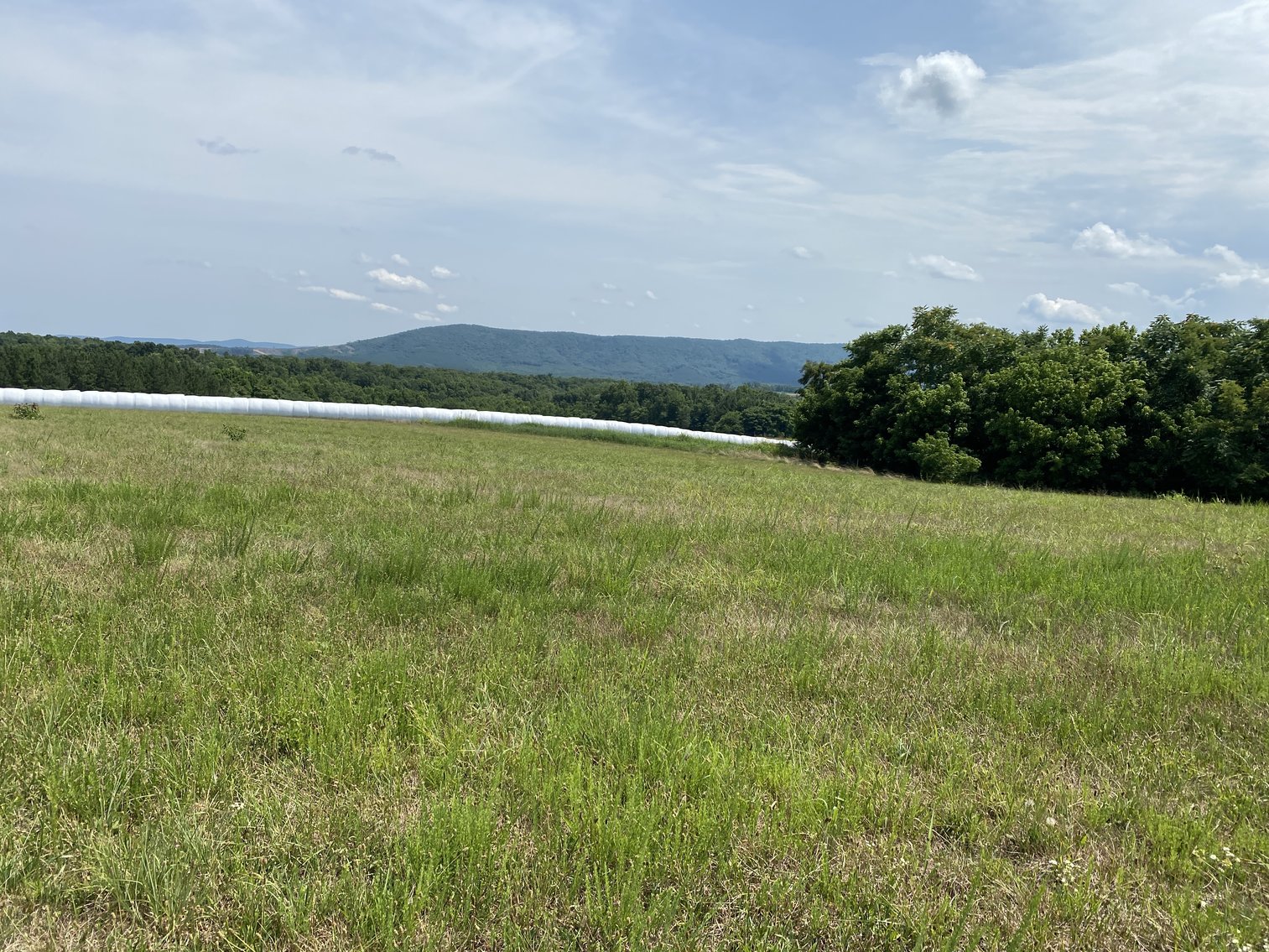 Image for 5 Individual Land Parcels Totaling 77.9 +/- Acres in Franklin County, VA, Only 10 Miles from Smith Mountain Lake--ONLINE ONLY BIDDING!!
