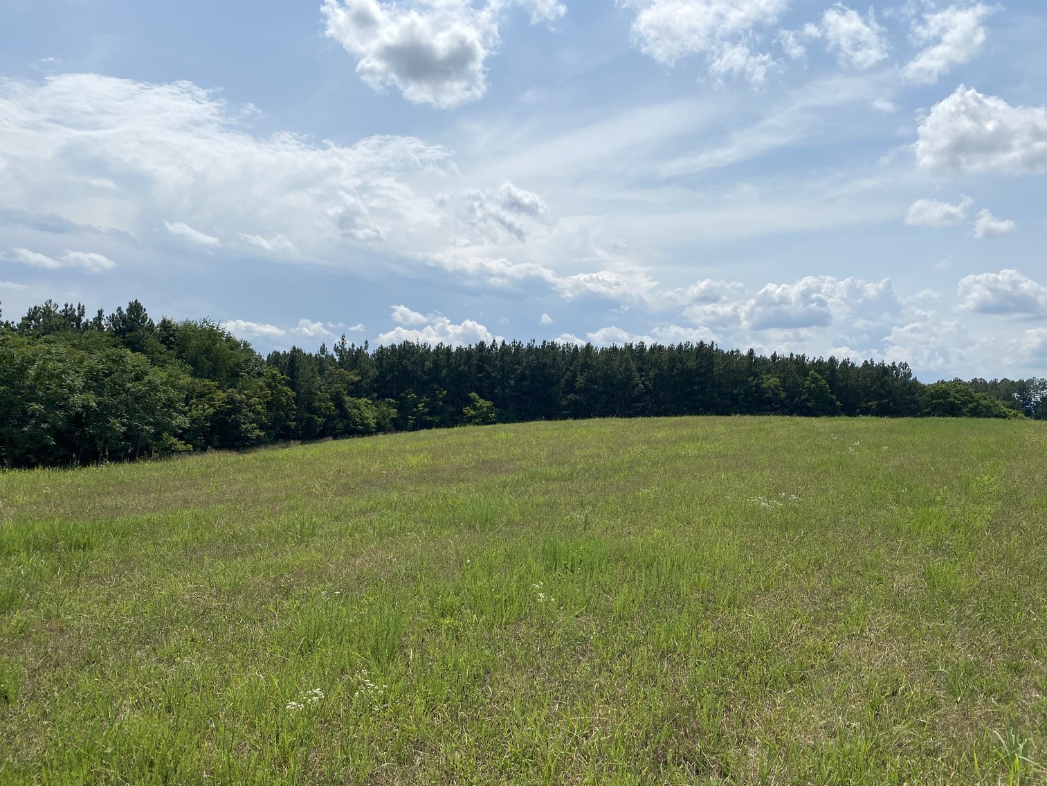 Image for 5 Individual Land Parcels Totaling 77.9 +/- Acres in Franklin County, VA, Only 10 Miles from Smith Mountain Lake--ONLINE ONLY BIDDING!!