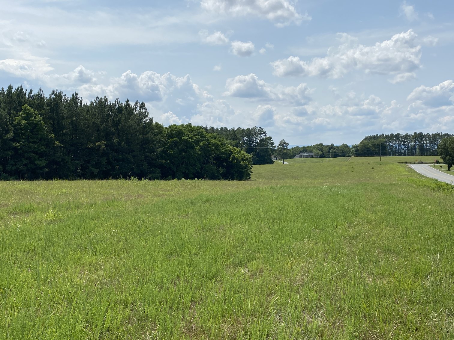 Image for 5 Individual Land Parcels Totaling 77.9 +/- Acres in Franklin County, VA, Only 10 Miles from Smith Mountain Lake--ONLINE ONLY BIDDING!!