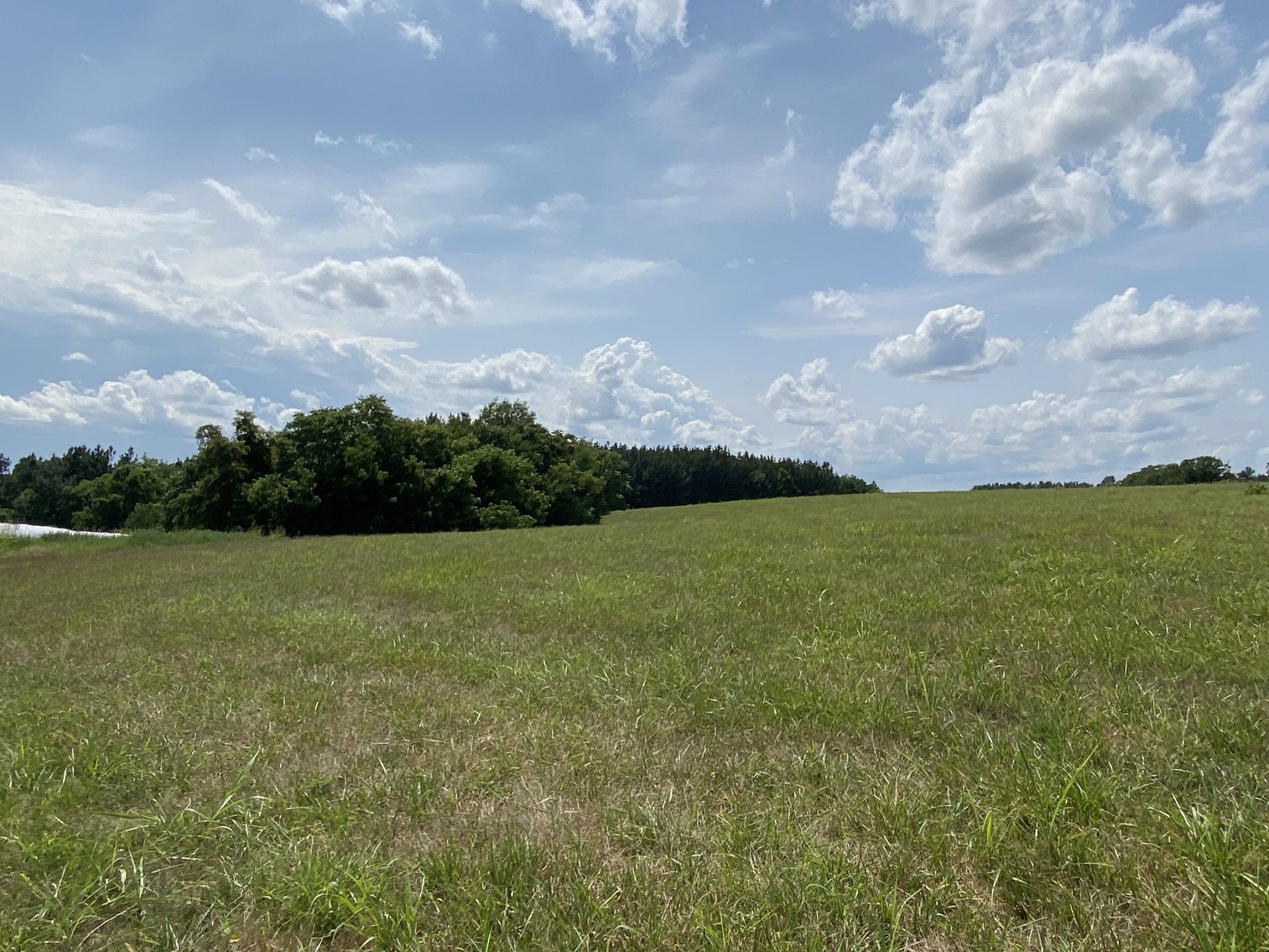 Image for 5 Individual Land Parcels Totaling 77.9 +/- Acres in Franklin County, VA, Only 10 Miles from Smith Mountain Lake--ONLINE ONLY BIDDING!!