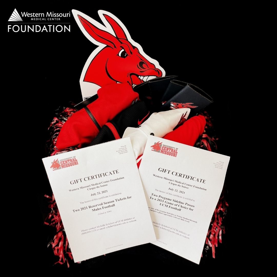 Image for WMMC Foundation Auction