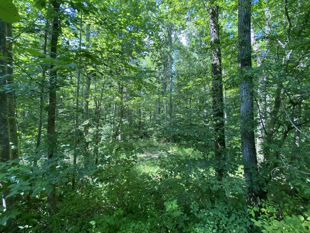 Image for 9+/- ACRES - 5,400 SF Warehouse/Garage - Powhatan County - Convenient Location, Private Setting - 1187 Bradbury Rd. Powhatan, VA 23120