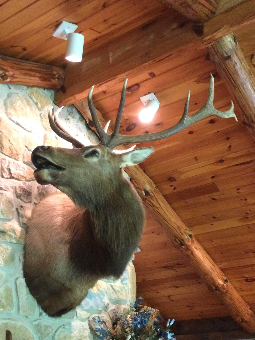 Image for Estate Sale | Perkiomenville, PA | August 3, 2021 at 8:00 PM