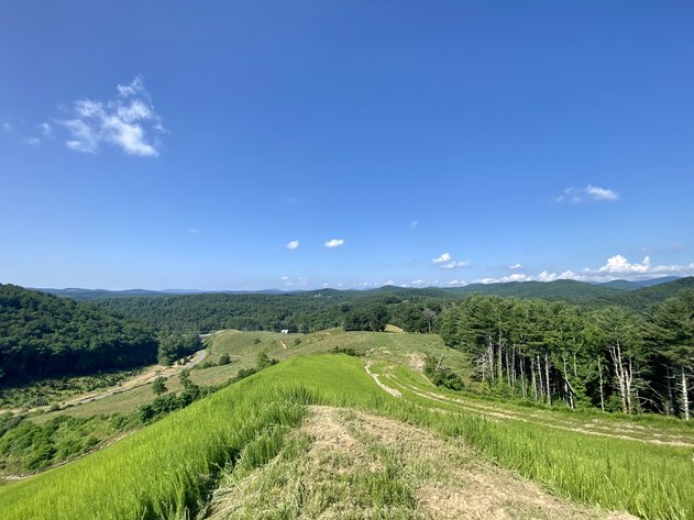 Image for Entire Ashe County Mountain and Surrounding Acreage