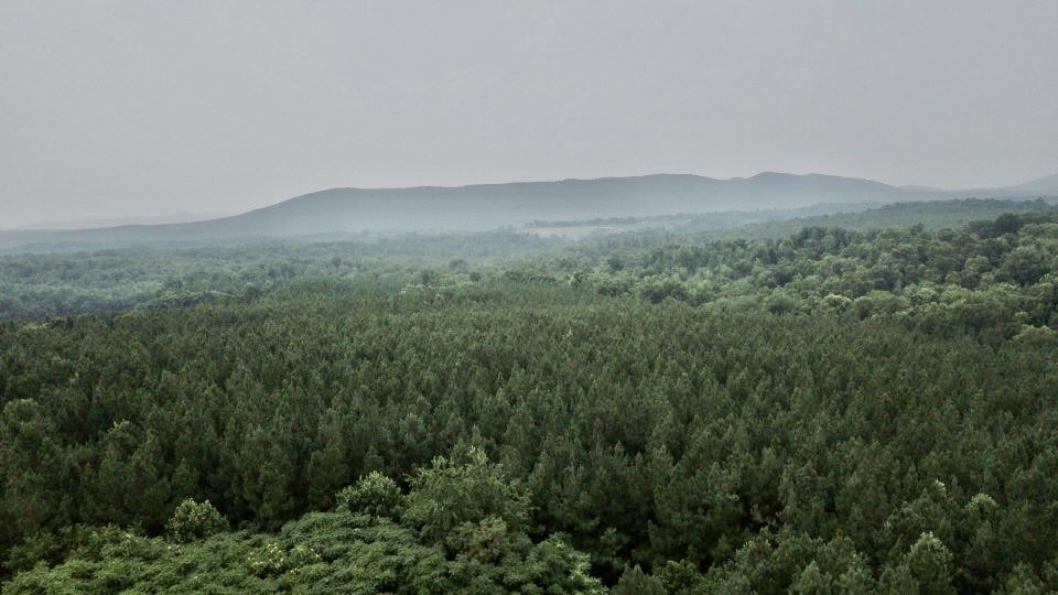 Image for 5 Individual Land Parcels Totaling 77.9 +/- Acres in Franklin County, VA, Only 10 Miles from Smith Mountain Lake--ONLINE ONLY BIDDING!!