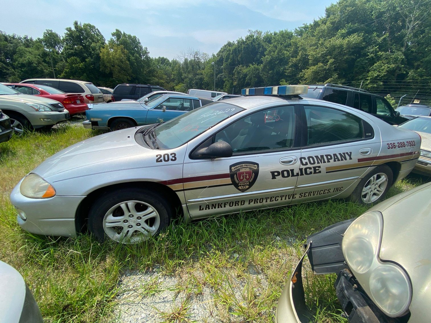 Image for City of Greensboro August 2021