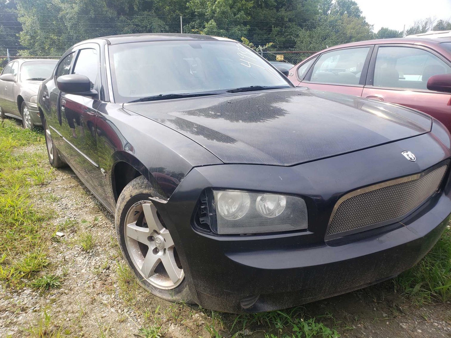 Image for City of Greensboro August 2021