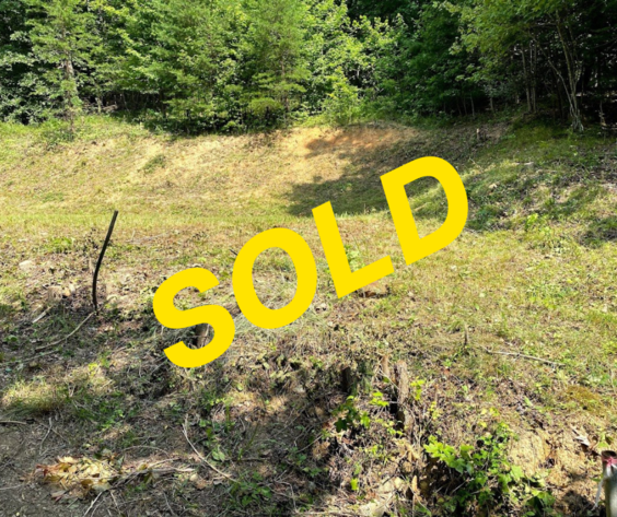 Image for Absolute Real Estate Auction