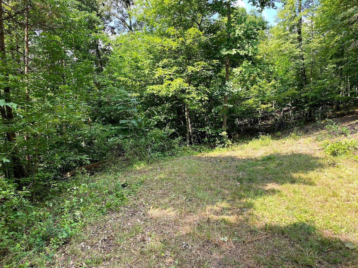 Image for Absolute Real Estate Auction